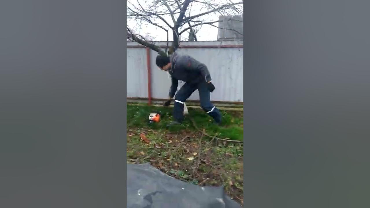 пилим деревья - YouTube