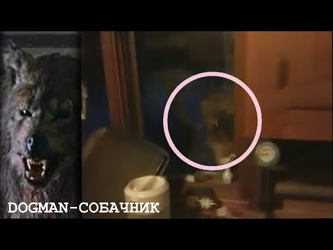 ЖУТКОЕ СУЩЕСТВО С ГОЛОВОЙ СОБАКИ ПРИТАИЛОСЬ В ОКНЕ. Что за Существо? Dogman, оборотень, Чупакабра