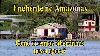 Enchentes do Amazonas - Como vivem os ribeirinhos nessa época?