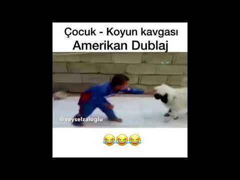 Çocuk - Koyun Kavgasi - Amerikan Dublaj