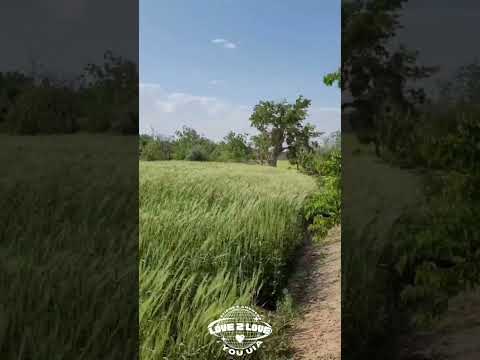 لحظاتی با طبیعت به گزارش سمانه خانم عزیز
