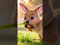 Little Kangaroo Song | English Nursery Rhymes for Children's | Galatta Kids | Animal song | Shorts