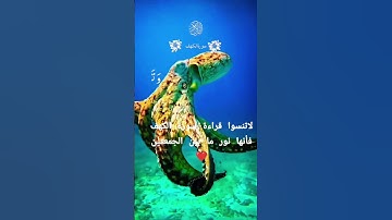 المال والبنون زينة الحياة الدنيا #quran #سورة_الكهف #قرآن #ارح_قلبك