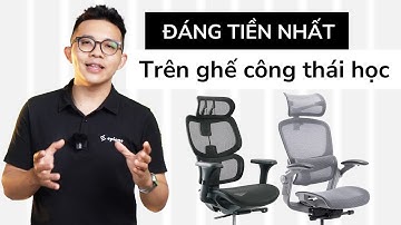 So sánh ghế công thái học: FortisChair với EasyChair 2.0