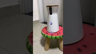 简直是远程训练神器 #furbo狗狗摄像机 #边牧王大锤