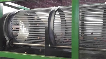 Thomson In Shell Sizer running Pecans