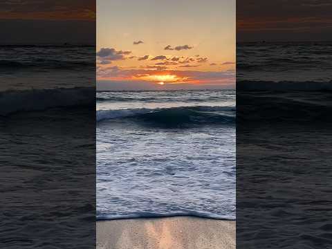 Видео: Happy Wednesday to you #beach #oceansunrise