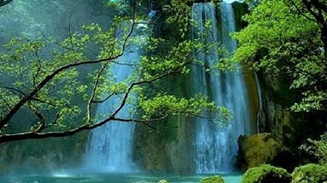 (الرجال قوامون على النساء ) تلاوة رائعة للشيخ سعد الغامدي