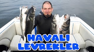 Sığ Su Levrek Avları Mares Cyrano İle Levrek Avı Zıpkın İle Levrek Avı