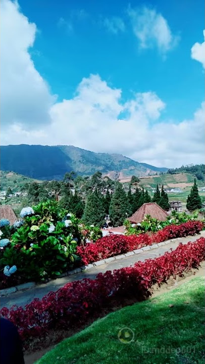 story WA pemandangan alam Dieng jawatengah