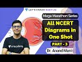 All NCERT Diagrams in One Shot | Part 3 | Mega Marathon Series | Dr. Anand Mani