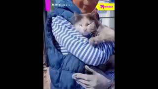 Хозяева нашли своего кота после пожара