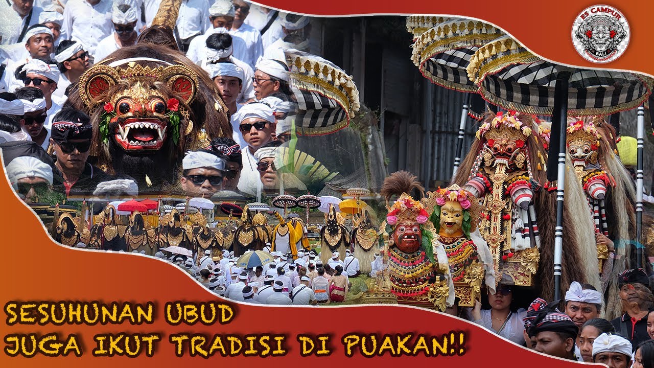 TRADISI TIDAK TERLUPAKAN UMANIS GALUNGAN, AMUNDUK TARO BERGETAR!!!