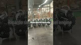Chinese Ricardo engines, export configuration