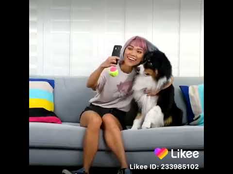 თქვენც სცადეთ