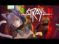 Strayim cat  1