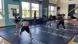 Brazilian Jiu-Jitsu