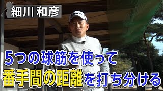 ショットメーカー【細川和彦】のアイアン上達の秘訣教えます！ 【4話】＜全5話＞ 番手間の距離の打ち分け方、ハーフショットの打ち方