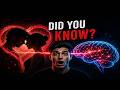 The Science of Love: What’s Really Happening in Your Brain | Curiosity Seekers | Did You Know?