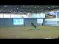 5th Qatar Arabian Horse Show for Local Bred (Day1)