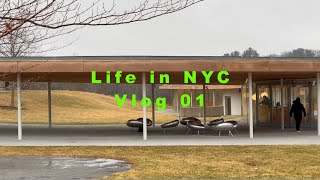 Life in NYC 01。𖦹°‧.𖥔 ˖⋆ ˚❆ | Carroll Gardens, Donabe recipes, Grace Farms, Eel bar, Chinatown