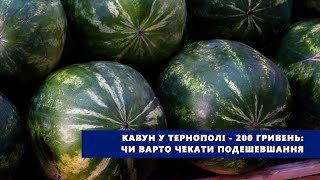 Кавун у Тернополі - 200 гривень: чи варто чекати подешевшання