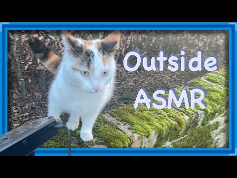ASMR | buiten in het park🌳 (Vlaams)