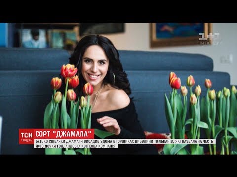 Голландська квіткова компанія