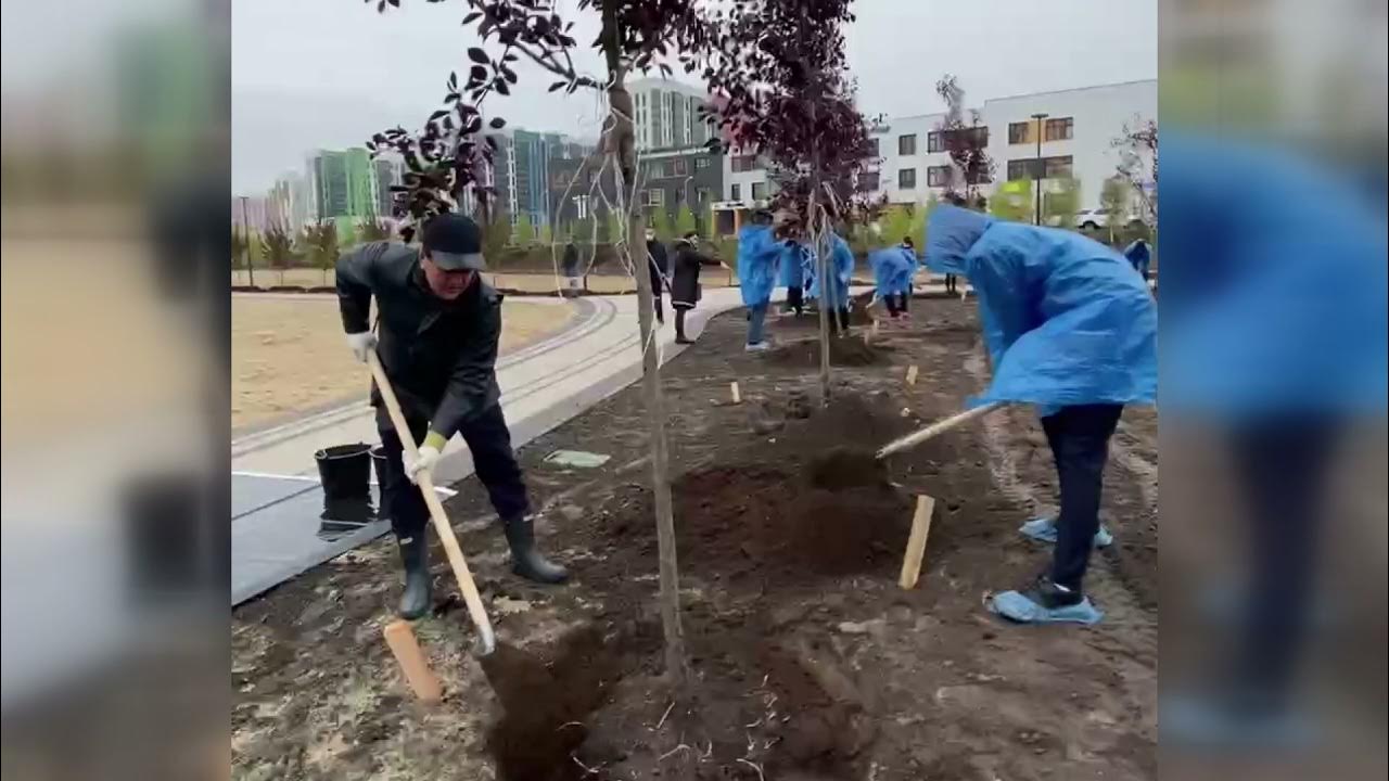 Спасение салават купере. Салават купере ютуб стилист.