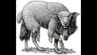 Looking Closer At Pastor Jeff And Hello Saints.