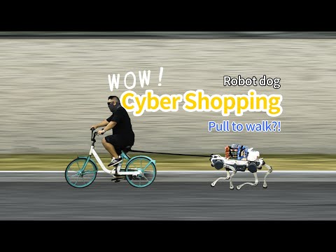 Pull To Walk Robot Dog Grocery Shopping