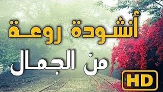 أين الصديق ..؟؟ | أنشودة غاية في الروعة .| ستعجبك....|HD|