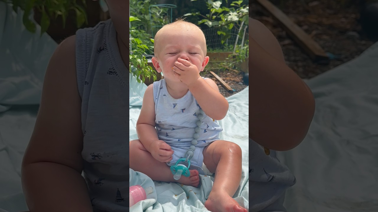 Harvesting & Eating Tomatoes with the Kids in our Garden!