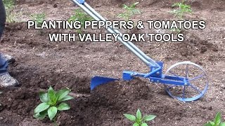Planting Peppers & Tomatoes with Valley Oak Tools