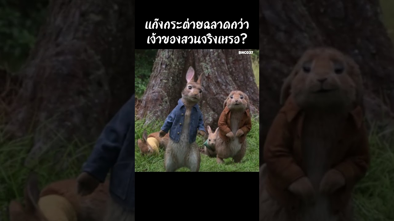 แก๊งกระต่ายฉลาดกว่าเจ้าของสวนจริงเหรอ? #สปอยหนัง #สรุปหนัง #เล่าเรื่องหนัง #shorts