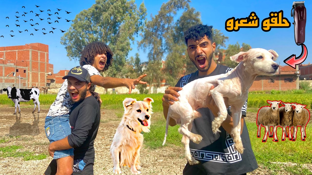 صحابي شالو شعر الكلب خربوش اتصدمت من شكله😳( عودة حرب المقالب)