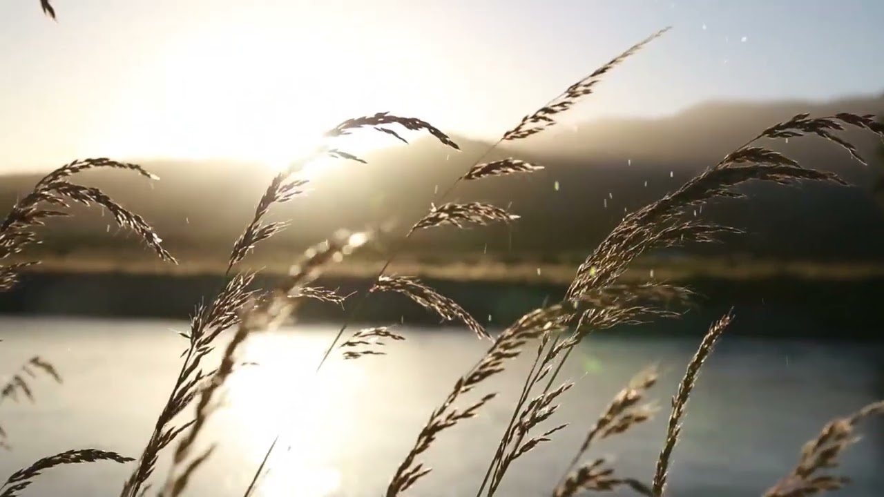 VIDEO LYRIC TONE NỮ - ĐÊM BUỒN NHỚ TRĂNG