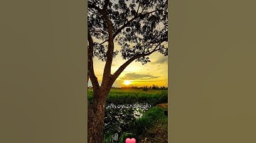 تلاوة خاشعة الشيخ محمد أحمد حسن #تلاوة_خاشعة #explore #tiktok ##islam #fyp #quran #foryou #like