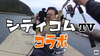 後編 シティコムtvコラボ エギング対決 エギが飛んでいった 釣りせんば Youtube