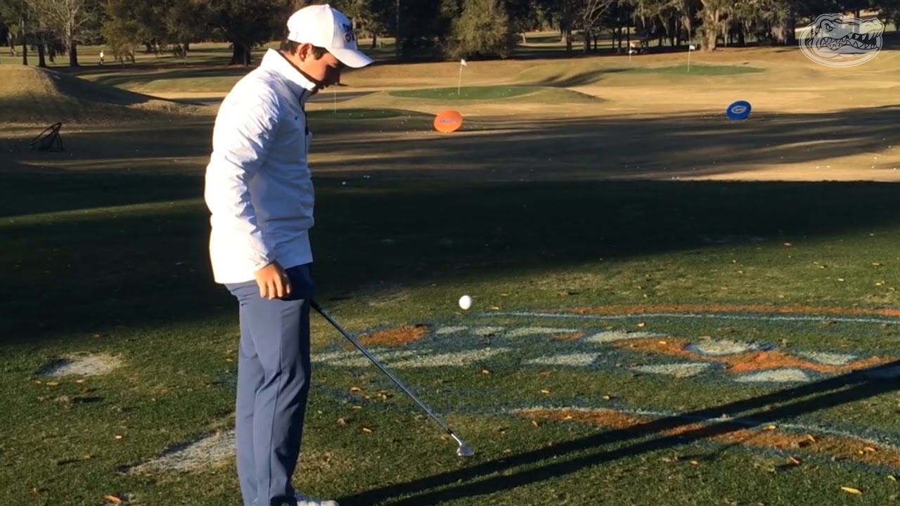 2015 Florida Letterman Awards Florida Golf YouTube