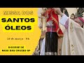 Missa dos santos leos e renovao das promessas sacerdotais  diocese mogi das cruzes sp