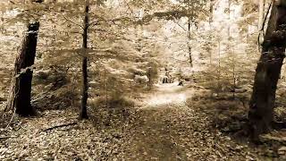 Atmospheric Dub Techno Askprojekt Floating