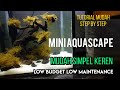 Mini aquascape bonsai rasamala tunggal low budget low maintenance