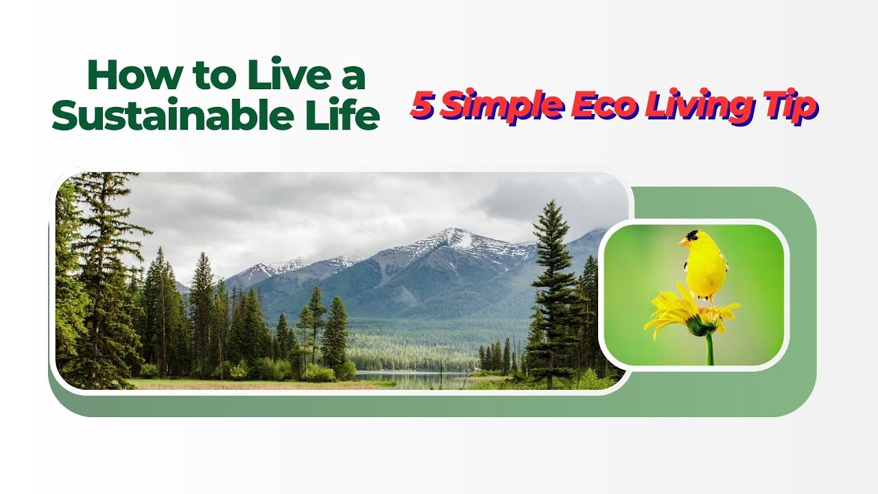 5 Simple Eco Living Tips How to Live a Sustainable Life