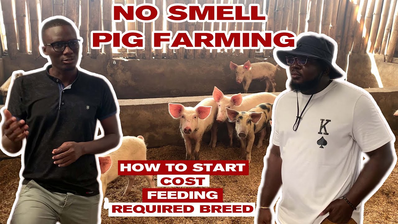 ALL ABOUT SETTING UP A 