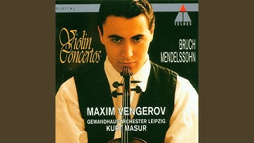 Violin Concerto in E Minor, Op. 64, MWV O14: II. Andante