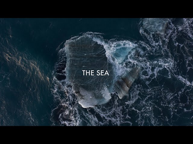 Tomasz Mreńca - The Sea