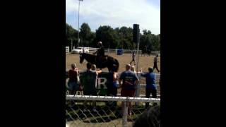Mounted patrol obstacle course competition
