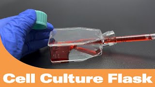 Hawach Cell Culture Flask