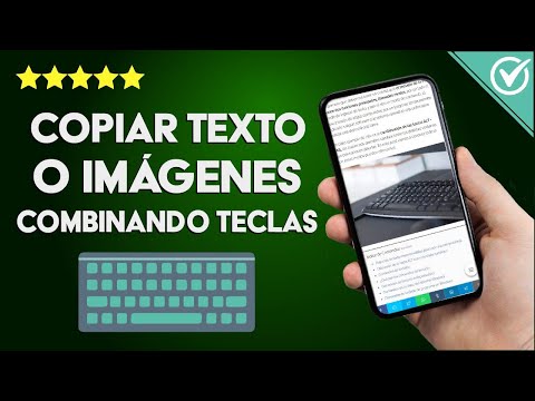 ¿Cómo Copiar, Pegar y Cortar un Texto o Imágenes con una Combinación de Teclas?